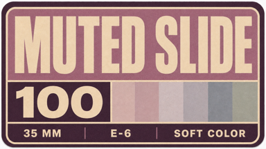 Muted Slide 100