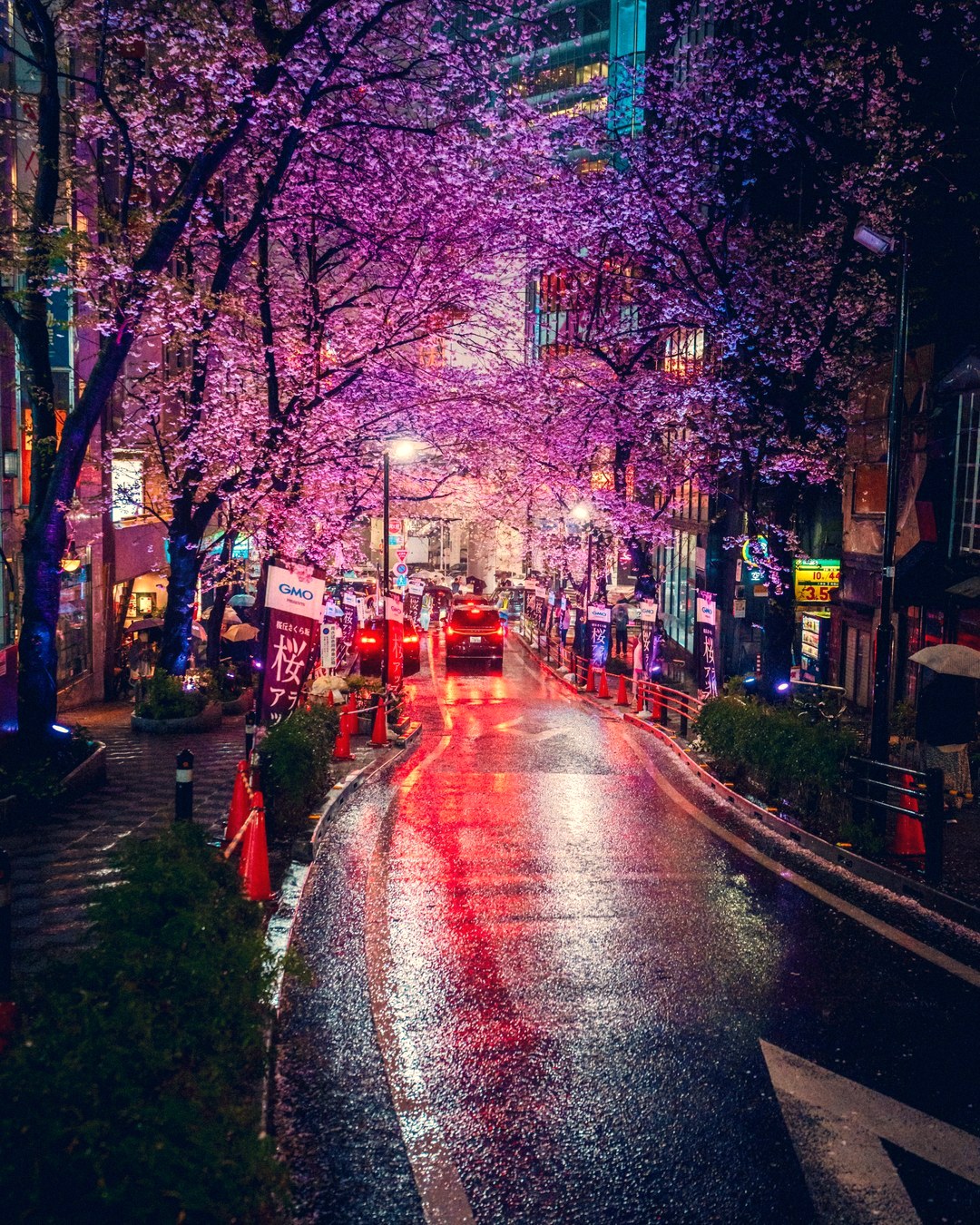 03.jpg