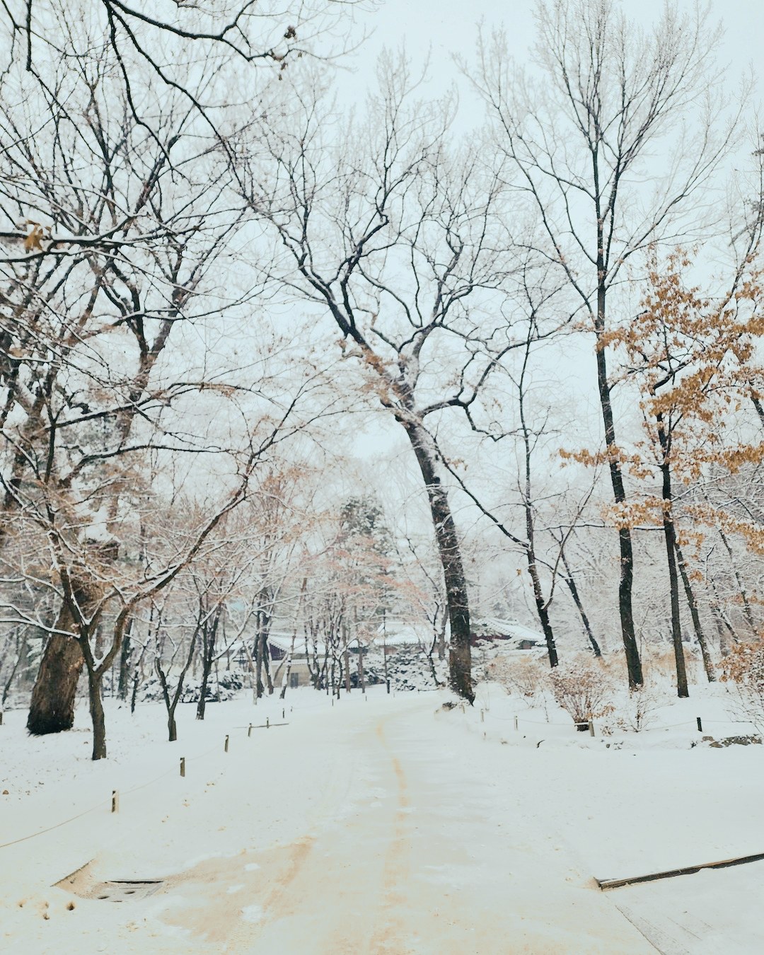 02.jpg