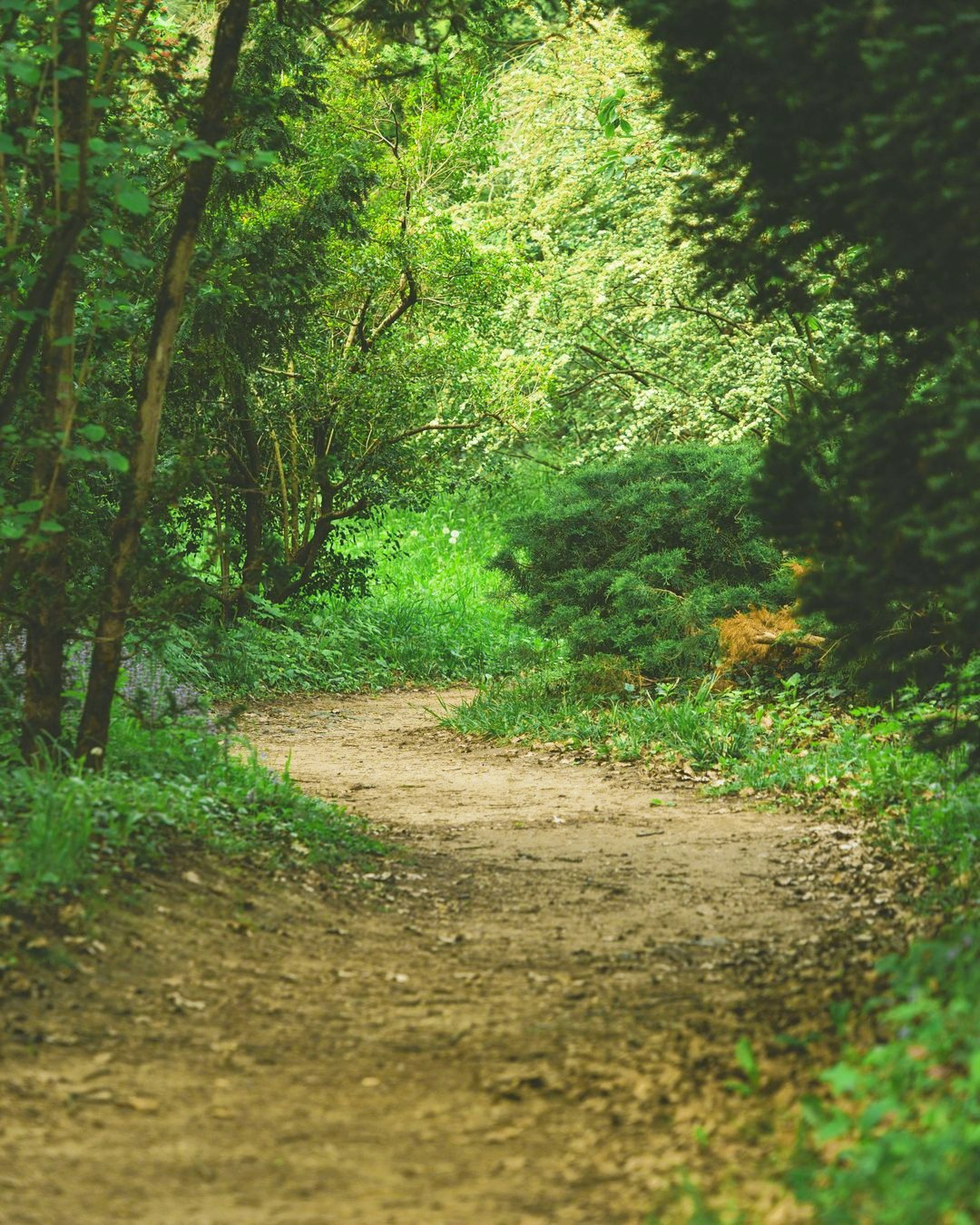 02.jpg